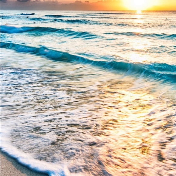 Meet your Posher, Denise - Picture 1 of 1